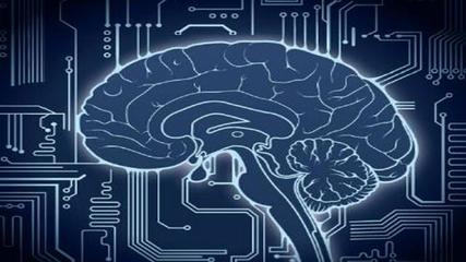 人工智能的根基 从网红送餐机器人看自动驾驶的挑战与软件开发